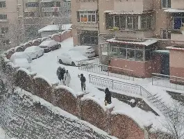 官网入口-辽宁男篮签下新大外援